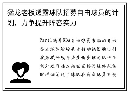 猛龙老板透露球队招募自由球员的计划，力争提升阵容实力